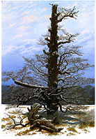 The Oak Tree in the Snow (1829). 71 × 48 cm. Alte Nationalgalerie, Berlin. Friedrich was one of the first artists to portray winter landscapes as stark and dead. His winter scenes are solemn and still—according to the art historian Hermann Beenken, Friedrich painted winter scenes in which "no man has yet set his foot".[49]