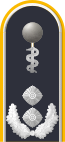 Dienstgradabzeichen auf der Schulterklappe der Jacke des Dienstanzuges für Luftwaffenuniformträger (Humanmedizin).