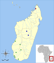 Map of Madagascar, off the southeast coast of Africa, with one red dot in the extreme north of the island, two blue dots near the middle, and seven green dots in the southwest and west parts of the island.