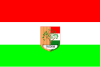 Flag of Olszyna