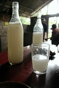 Bottles and a glass of palm wine