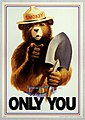 Smokey Bear è l'icona della lunga campagna del servizio forestale statunitense contro gli incendi boschivi.