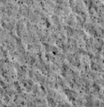 נחתת ויקינג 2 כפי שצולה על ידי המקפת לסקר מאדים בדצמבר 2006