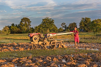 Anak kecil membajak sawah dengan traktor kecil di Don Det, Laos