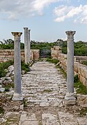 Ruines grecques (romanisées) à Salamis.
