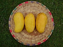 Sindhri origination in Mirpur Khas District is among top 10 mango varieties in the world