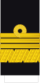 Admirał floty (Polish Navy)[11]