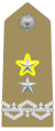 Distintivo per controspallina di generale di divisione a titolo onorifico