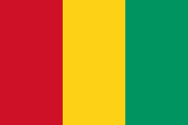 गिनीचा ध्वज