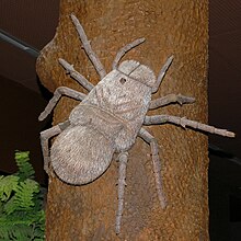 Outdated model of ''Megarachne'' as a large spider.