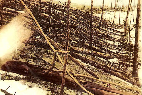 Les arbres couchés par le souffle de l'explosion à haute altitude d'un objet de plus de 50 mètres de diamètre en 1908 en Sibérie (événement de la Toungouska).