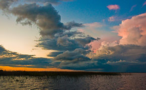 Los esteros del Iberá, en Corrientes, abarcan entre 15 000 y 25 000 km² y son el segundo humedal más grande del mundo.
