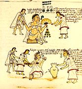 மென்டோசா சுவடியில் காணப்பட்ட ஒரு அசுட்டெக் ஓவியம். வயதான அசுட்டெக்குகளுக்கு மது வழங்கப்படுகிறது, மெக்சிக்கோ, c.1553