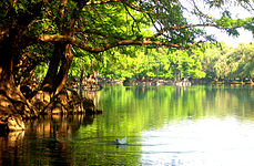 Lago de Camécuaro Clima subtropical úmido (Cwa)