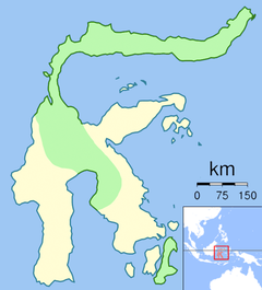 Área de ocorrência (em verde). Endêmico das ilhas Celebes (maior) e Buton.