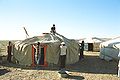 Iurta mongolă: se acoperă pâsla