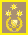 General pukovnik (Bosnia-Erzegovina)