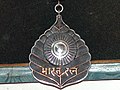 பாரத் ரத்னா விருது