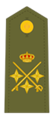 Divisa de teniente general (Ejército de Tierra)