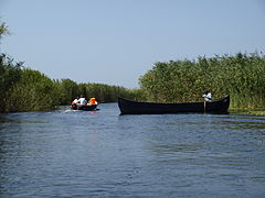 Un bras du Danube dans son delta, avec une lotca traditionnelle.
