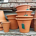 Terracotta flowerpots