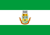 Flag of Presidente Getúlio