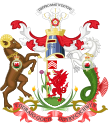 Cardiff၏ တံဆိပ်အမှတ်အသား