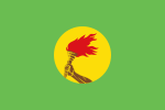 ธงชาติสาธารณรัฐซาอีร์ (ค.ศ. 1971–1997)