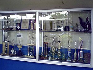 Wall-mounted trophy case