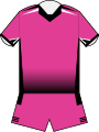 Pink Panthers (2013-2015)