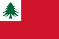 Bandiera con il pino