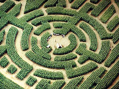 Barvaux : le Labyrinthe de Barvaux, un labyrinthe de maïs.