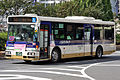 京王巴士東的一般路線巴士