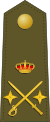 General de División