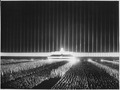 Zeppelinhaupttribüne mit Kolonnaden und Lichtdom beim großen Appell der Politischen Leiter, Reichsparteitag 1937