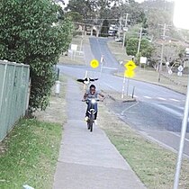 A territorial magpie swoops a cyclist.