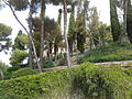 Parco della Villa Monte Verde, residenza privata di Edward e Margaret Berry