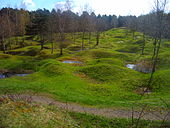 Part of the Verdun battlefield in 2005 showing the legacy of artillery bombardment