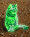 Artist's impression of a ray cat