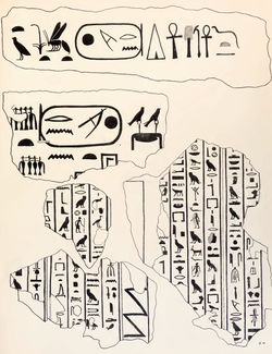 Drawing in black ink on yellow paper of pieces of hieroglyphic inscriptions