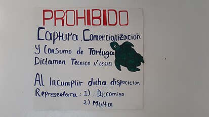 A notice in Bluefields, Nicaragua in 2023 indicating that the capturing and consuming of turtles is prohibited