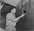 Image 201st Lt. Louis Zamperini, peers through a hole in his B-24D Liberator 'Super Man' made by a 20mm shell over Nauru, 20 April 1943. (from History of Tuvalu)