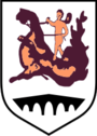 Wappen von Ilidža