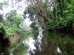 Karthikappally "Thodu" or Canal