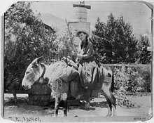 Lou Henry Hoover as a teenager sitting on a burro while carrying a rifle