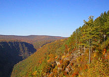 A deep gorge lies in shadows at left. The gorge and its surroundings are covered by trees, most with red, orange and yellow leaves. Some green confiers and rocky ledges are in the foreground at right.