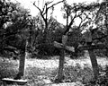 Tres Cruces de Chumampaco in 1895, where Cajemé was killed.