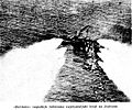 BAF (YNLA AF) Hurricane attack on enemy shipping, Adriatic Sea.