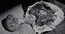 A screenshot of the film, showing the bizarre animal-like infant