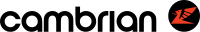 Cambrian Airways Logo